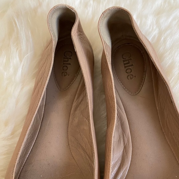 Chloe Gladiolo Taupe Embellished Ballet Flats - Picture 3 of 8